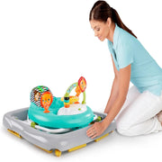 Bright Starts Zig Zag Zebra Baby Walker 11477 | Baby Walker