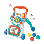 Multi Function Activity Walker 