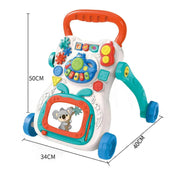 Multi Function Activity Walker 