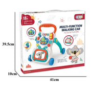 Multi Function Activity Walker 