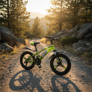 21-Inch Auto Gear Mountain Bicycle