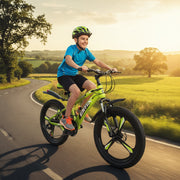 21-Inch Auto Gear Mountain Bicycle