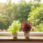 Pack of 2 Ceramic Artificial Plants