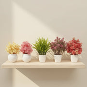 Pack of 5 Artificial Plants & Flowers