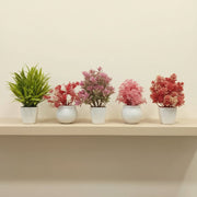 Pack of 5 Artificial Plants & Flowers