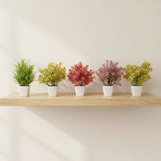 Pack of 5 Artificial Plants & Flowers