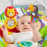 Fisher Price Infant to Toddler Rocker GDP94