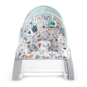 Fisher-Price Deluxe Infant-to-Toddler Rocker GVG45