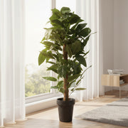 Artificial Money Plant on Moss Pole with Black Pot | Decorative Indoor Faux Pothos Plant
