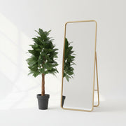 Artificial Money Plant on Moss Pole with Black Pot | Decorative Indoor Faux Pothos Plant