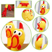 Squeaky Screaming Funny Chicken