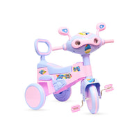 Sprinter Light & Sound Tricycle for Kids