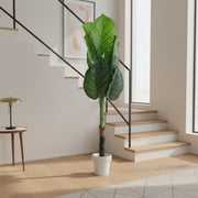 Artificial Banana Plant in Decorative Pot | Large Tropical Indoor Floor Plant for Home & Office Decor