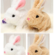 Musical Walking Plush Cute Rabbit | Stuff Toy | Plush Toy