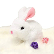 Musical Walking Plush Cute Rabbit | Stuff Toy | Plush Toy