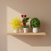Pack of 3 Artificial Plants & Flowers