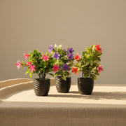 Pack of 3 Artificial Plants & Flowers