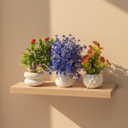 Pack of 3 Artificial Plants & Flowers