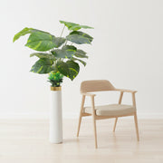 Artificial Elephant Ear Plant (Alocasia) in Decorative White Floor Vase