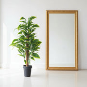 Artificial Dieffenbachia (Dumb Cane) Plant with Black Pot | Premium Indoor Home & Office Decor