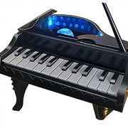 25 Key Kids Piano Keyboard | Electronic Musical Toy Piano with Lights & Sounds