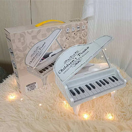 25 Key Kids Piano Keyboard | Electronic Musical Toy Piano with Lights & Sounds