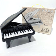 25 Key Kids Piano Keyboard | Electronic Musical Toy Piano with Lights & Sounds