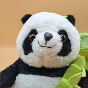 Cute Panda Plush Toy with Bamboo Pouch