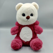 Plush Cute Hoodie Teddy Bear