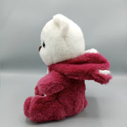 Plush Cute Hoodie Teddy Bear